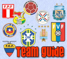 Team guide