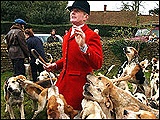 Fox hunters