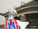 Goose, San Siro