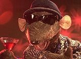 Rat on the Road