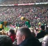 green and gold