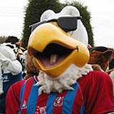 Crystal Palace mascot